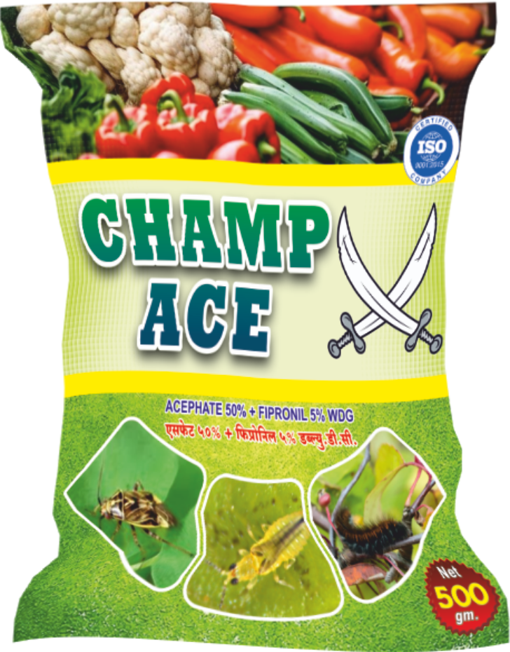 champ ace